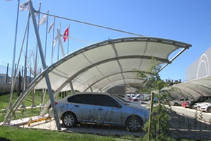 asma germe otopark